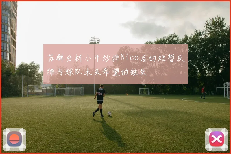 苏群分析小牛炒掉Nico后的短暂反弹与球队未来希望的缺失